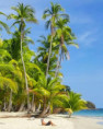 /album/fotogaleria-panama-zajezd-vy-a-my/panama-zajazd-4-jpg1/